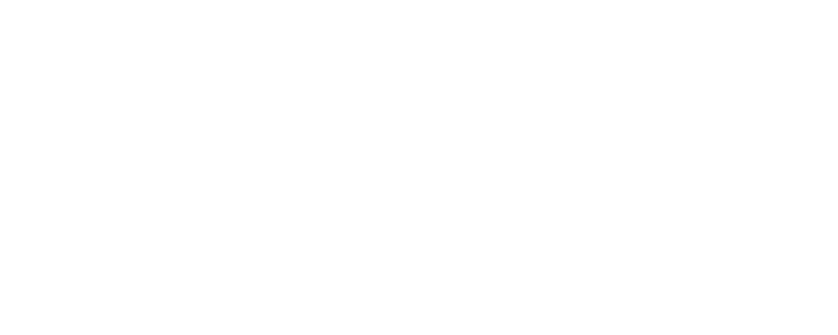 Logo-Baldacci